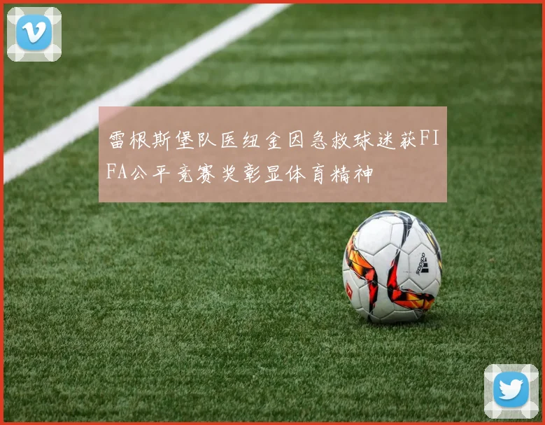 雷根斯堡队医纽金因急救球迷获FIFA公平竞赛奖彰显体育精神