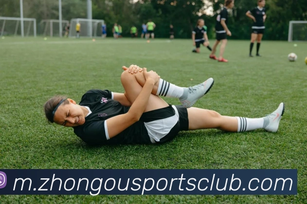 多媒体互动体验